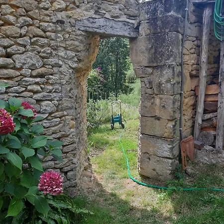 Le Chai, De Charme Avec Piscine Montignac-Lascaux