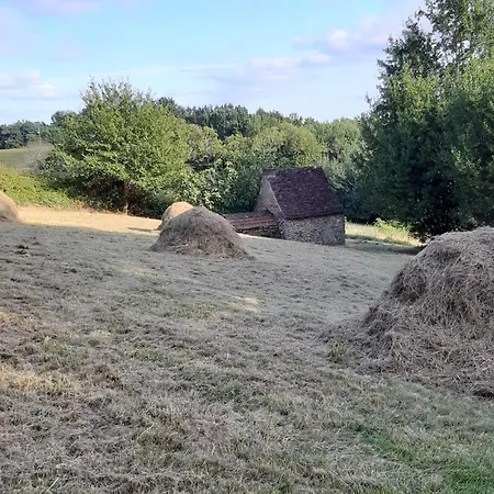 Gæstehus Le Chai, De Charme Avec Piscine Montignac-Lascaux